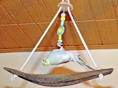 Schaukeln aus Kokos Schaukeln aus Kokos