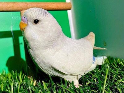 Platzhalter 4x3 Platzhalter 4x3