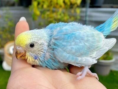 Platzhalter 4x3 Platzhalter 4x3