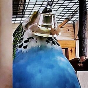 Glöckchen Glöckchen