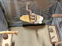 Käfig unten Käfig unten