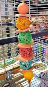 Knabberseil mit Leder Knabberseil mit Leder