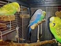 Schlafebene Schlafebene