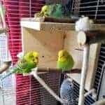 Schlafecke Schlafecke