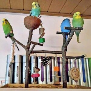 Spielplätze Spielplätze