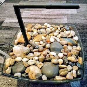 Vogeldusche Vogeldusche Luxus