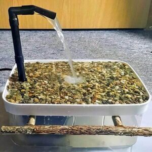 Vogeldusche Wasserfall Vogeldusche Wasserfall