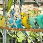 Farbschläge 1 Farbschläge