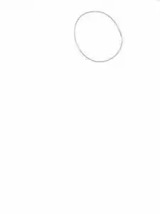 Wellensittiche zeichnen 1 Schritt 1