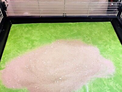 Fallschutzboden für den Käfig Fallschutzboden für den Käfig