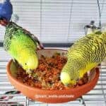 Zerkleinertes Gemüse mit Körnern Zerkleinertes Gemüse mit Körnern