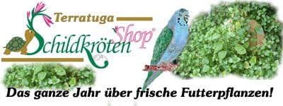Übersicht der Shops 24 Schildkröten-Shop