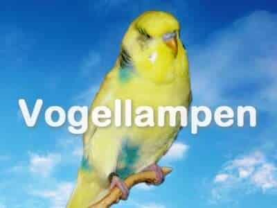 Vogellampen Vogellampen