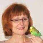 Platzhalter Platzhalter