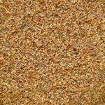 Diät spezial - Saaten Diät spezial - Saaten