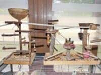 Käfigdach mit Spielplätzen Käfigdach mit Spielplätzen