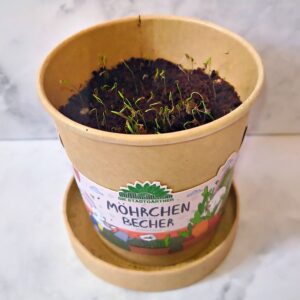 Möhrchen-Becher 050425 Keimlinge nach 10 Tagen