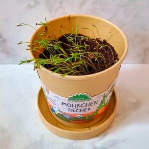 Möhrchen-Becher 100425 Möhrchen-Becher am 10.04.25