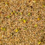 Pampa - Saaten Wie in der Pampa - Saaten