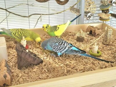 Wühlkiste XXL - Wellis 01_Radiant Spielplatz und Wühlkiste